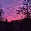 sarahharris0507